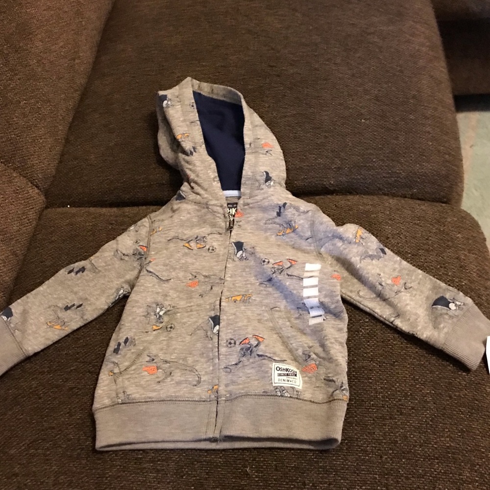Dinosaur jacket